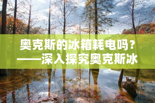 奥克斯的冰箱耗电吗？——深入探究奥克斯冰箱的能源消耗