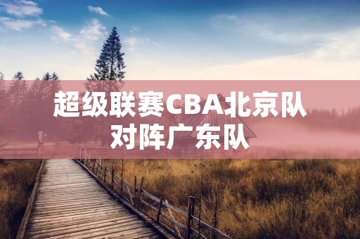 超级联赛CBA北京队对阵广东队