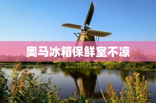 奥马冰箱保鲜室不凉:原因与解决方法 奥马冰箱保鲜室不凉:原因与解决方法