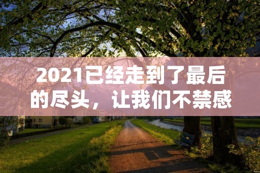 2021已经走到了最后的尽头,让我们不禁感慨万千。这一年,发生了太多太多的事情,有欢笑,有泪水,有收获,也有失落。在这个短暂的时光里,我们经历了太多的人生起伏,感受到了生命的无常和瞬息万变。让我们一起回顾这一年,感受岁月的沉淀和风雨的洗礼。