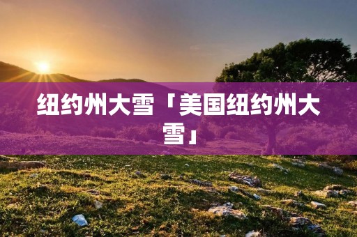 纽约州大雪「美国纽约州大雪」 纽约州大雪「美国纽约州大雪」