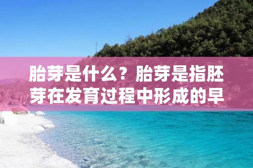 胎芽是什么?胎芽是指胚芽在发育过程中形成的早期胚胎结构。在人类胚胎发育的早期阶段,胚芽会逐渐分化为胎盘、羊膜和胎儿。胎芽是胚芽结构中最初形成的结构之一,它是整个胎儿发育的基础,也是胎盘和羊膜的先驱。 胎芽是什么?胎芽是指胚芽在发育过程中形成的早期胚胎结构。在人类胚胎发育的早期阶段,胚芽会逐渐分化为胎盘、羊膜和胎儿。胎芽是胚芽结构中最初形成的结构之一,它是整个胎儿发育的基础,也是胎盘和羊膜的先驱。
