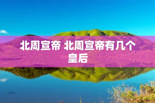 北周宣帝 北周宣帝有几个皇后