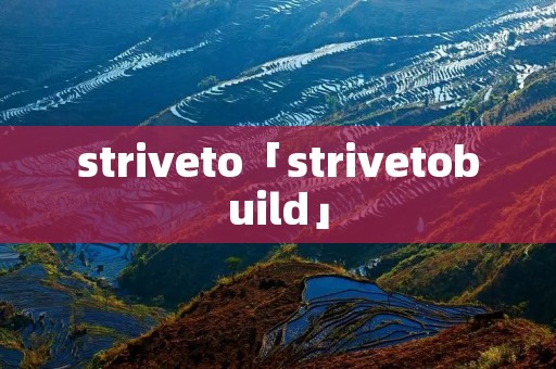 striveto「strivetobuild」