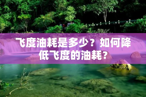 飞度油耗是多少?如何降低飞度的油耗? 飞度油耗是多少?如何降低飞度的油耗?