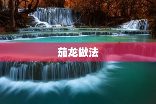 茄龙做法:又香又美的家常菜 茄龙做法:又香又美的家常菜