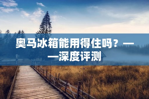 奥马冰箱能用得住吗？——深度评测