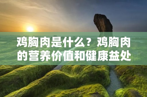 鸡胸肉是什么?鸡胸肉的营养价值和健康益处详解 鸡胸肉是什么?鸡胸肉的营养价值和健康益处详解