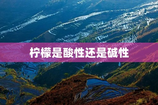 柠檬是酸性还是碱性