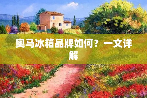 奥马冰箱品牌如何?一文详解 奥马冰箱品牌如何?一文详解