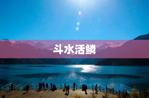 斗水活鳞:一种生活在淡水中的神秘生物 斗水活鳞:一种生活在淡水中的神秘生物