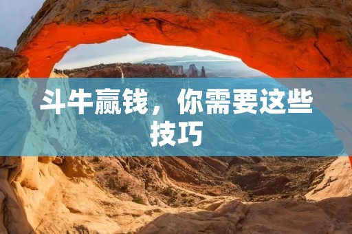 斗牛赢钱，你需要这些技巧