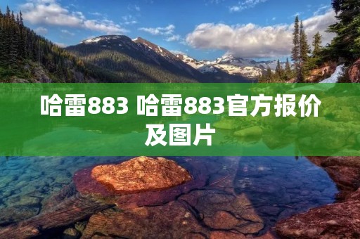 哈雷883 哈雷883官方报价及图片