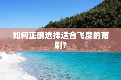 如何正确选择适合飞度的雨刷? 如何正确选择适合飞度的雨刷?