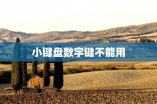小键盘数字键不能用:解决方法 小键盘数字键不能用:解决方法