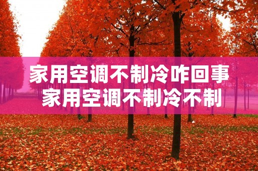 家用空调不制冷咋回事 家用空调不制冷不制热