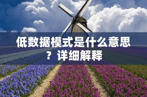 低数据模式是什么意思?详细解释 低数据模式是什么意思?详细解释
