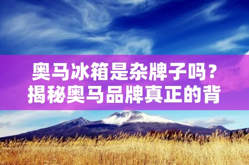 奥马冰箱是杂牌子吗？揭秘奥马品牌真正的背景！