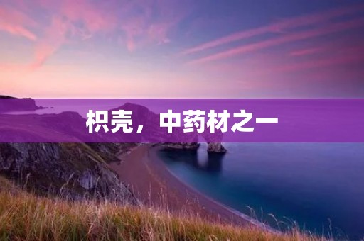 枳壳,中药材之一 枳壳,中药材之一