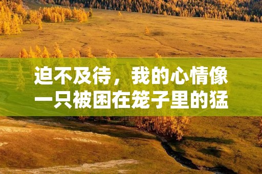 迫不及待，我的心情像一只被困在笼子里的猛兽，无法自拔。我一直在等待这一刻，心中充满了激动和期待。终于，我要实现自己的梦想，那就是去旅行。