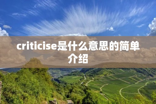 criticise是什么意思的简单介绍