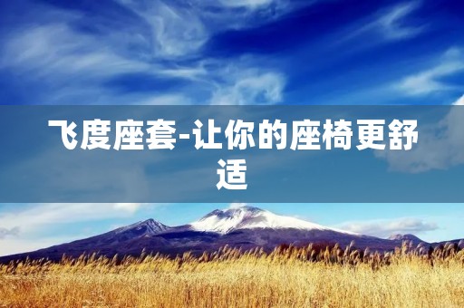 飞度座套-让你的座椅更舒适 飞度座套-让你的座椅更舒适
