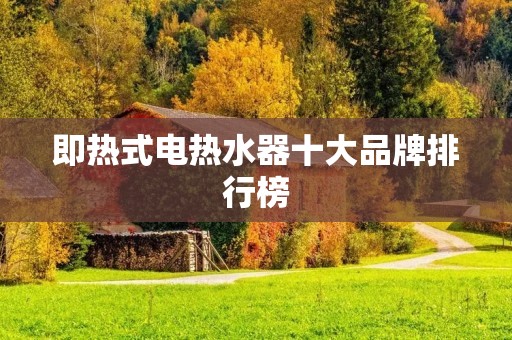 即热式电热水器十大品牌排行榜