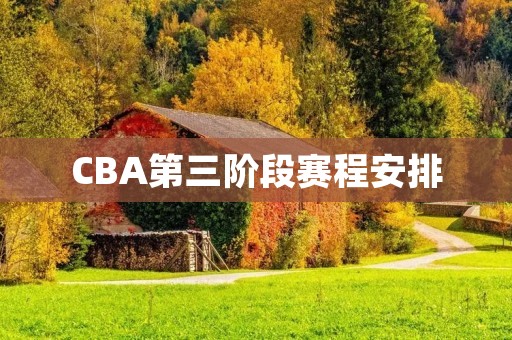 CBA第三阶段赛程安排：赛制改变，球队备战全面展开
