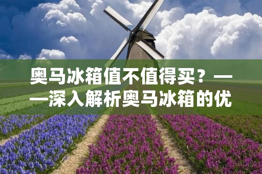 奥马冰箱值不值得买?——深入解析奥马冰箱的优劣势 奥马冰箱值不值得买?——深入解析奥马冰箱的优劣势