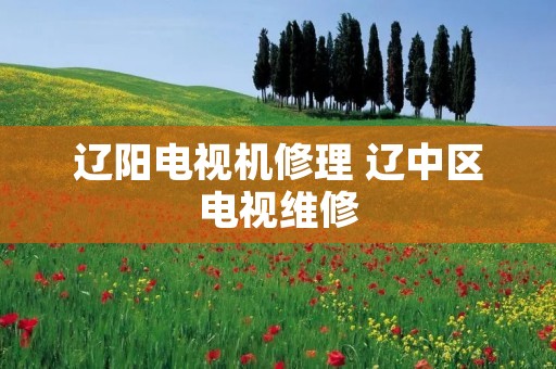 辽阳电视机修理 辽中区电视维修 辽阳电视机修理 辽中区电视维修