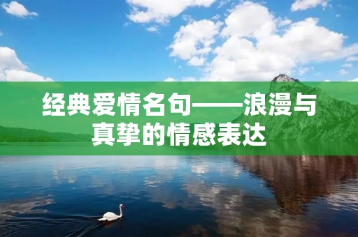 经典爱情名句——浪漫与真挚的情感表达