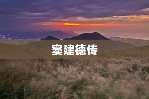窦建德传:大唐末年的一场战争 窦建德传:大唐末年的一场战争