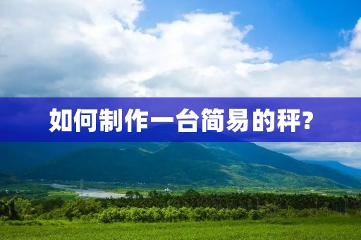 如何制作一台简易的秤? 如何制作一台简易的秤?
