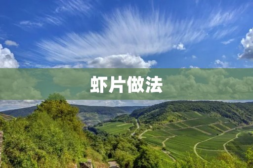 虾片做法:自制美味虾片的详细步骤 虾片做法:自制美味虾片的详细步骤