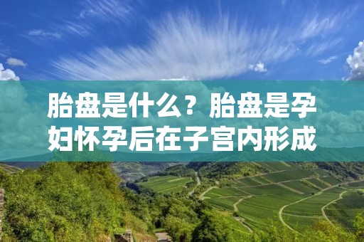胎盘是什么?胎盘是孕妇怀孕后在子宫内形成的一种组织,是胚胎和母体之间的重要连接器,具有极其重要的生理功能,它是胚胎发育的过程中产生的一种特殊的组织,是孕妇和胎儿的生命保障。 胎盘是什么?胎盘是孕妇怀孕后在子宫内形成的一种组织,是胚胎和母体之间的重要连接器,具有极其重要的生理功能,它是胚胎发育的过程中产生的一种特殊的组织,是孕妇和胎儿的生命保障。