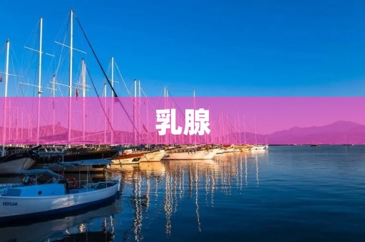 乳腺：女性健康的重要组成部分