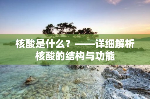 核酸是什么?——详细解析核酸的结构与功能 核酸是什么?——详细解析核酸的结构与功能