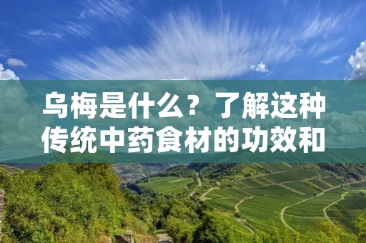 乌梅是什么?了解这种传统中药食材的功效和用途 乌梅是什么?了解这种传统中药食材的功效和用途
