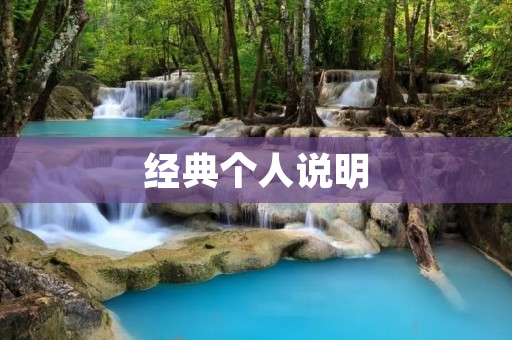 经典个人说明:我的成长历程
