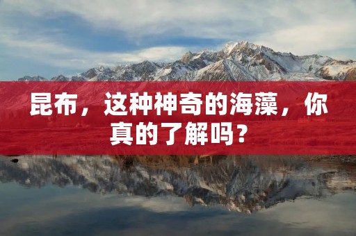 昆布,这种神奇的海藻,你真的了解吗? 昆布,这种神奇的海藻,你真的了解吗?