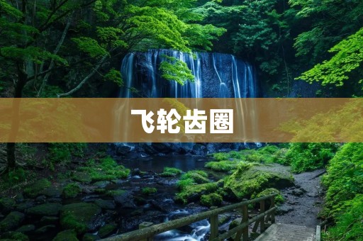 飞轮齿圈：高速运动的核心