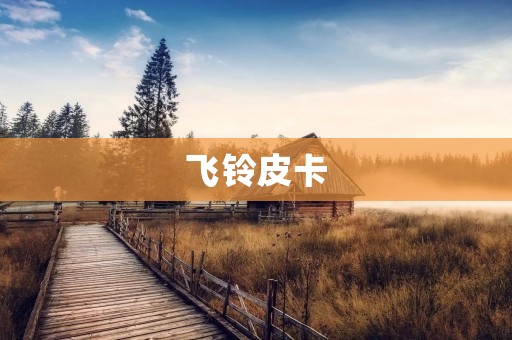 飞铃皮卡：超越传统的新时代力作