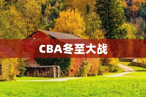 CBA冬至大战:赛场上的热血激战 CBA冬至大战:赛场上的热血激战