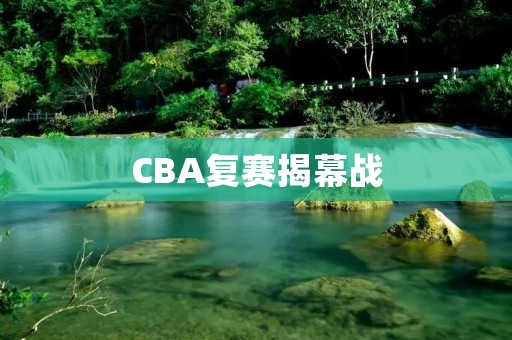 CBA复赛揭幕战：广东宏远VS山东西王