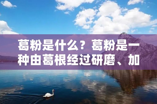 葛粉是什么？葛粉是一种由葛根经过研磨、加工而成的粉末。葛根是一种传统中药材，具有清热解毒、祛湿止痛、生津止渴等功效。葛粉是一种天然食品，被广泛应用于食品、保健品、医药等领域。