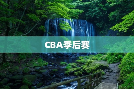 CBA季后赛：广东以惊险的方式逆转新疆