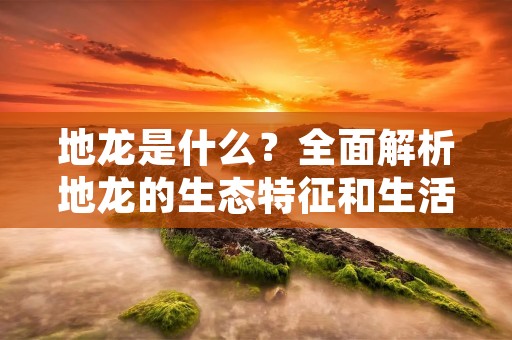 地龙是什么?全面解析地龙的生态特征和生活习性 地龙是什么?全面解析地龙的生态特征和生活习性