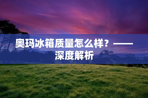 奥玛冰箱质量怎么样?——深度解析 奥玛冰箱质量怎么样?——深度解析