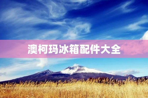 澳柯玛冰箱配件大全:保障您家中冰箱的使用 澳柯玛冰箱配件大全:保障您家中冰箱的使用