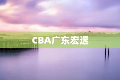 CBA广东宏远：强势崛起的中国篮球巨头